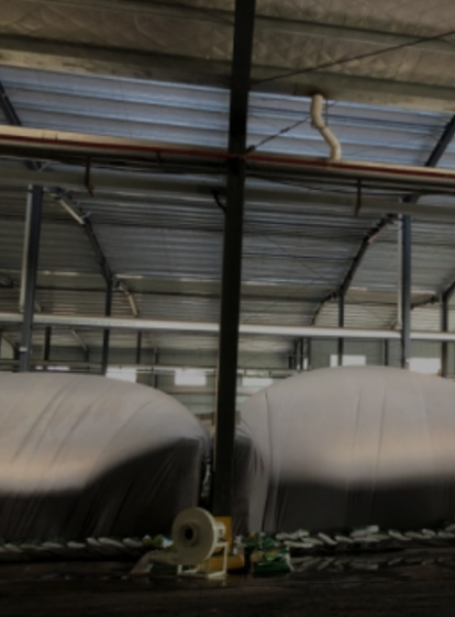 腾博汇游戏官网·(中国)专业效劳,诚信为本